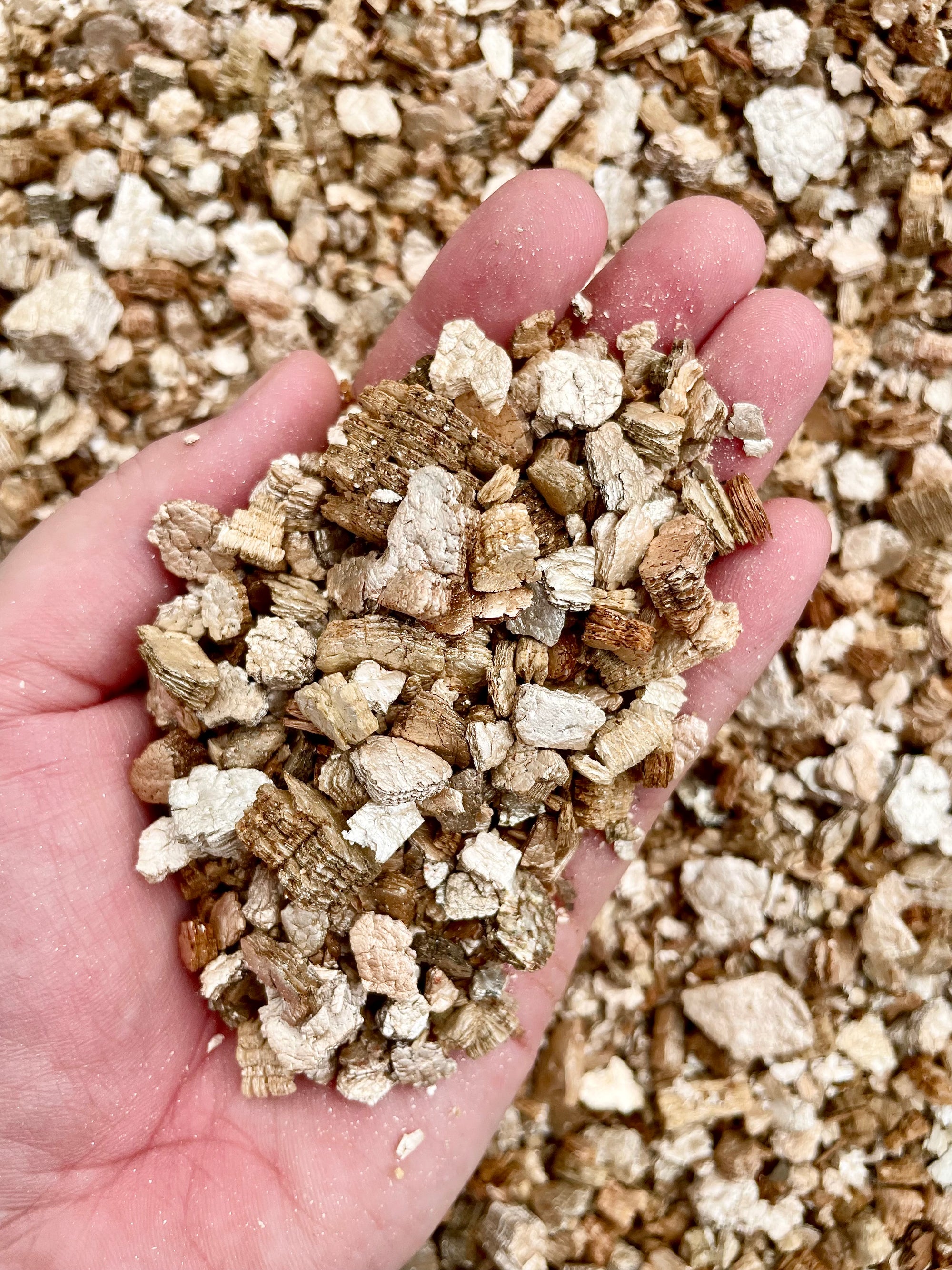 NZ Premium Soilless Chunky Aroid Mix