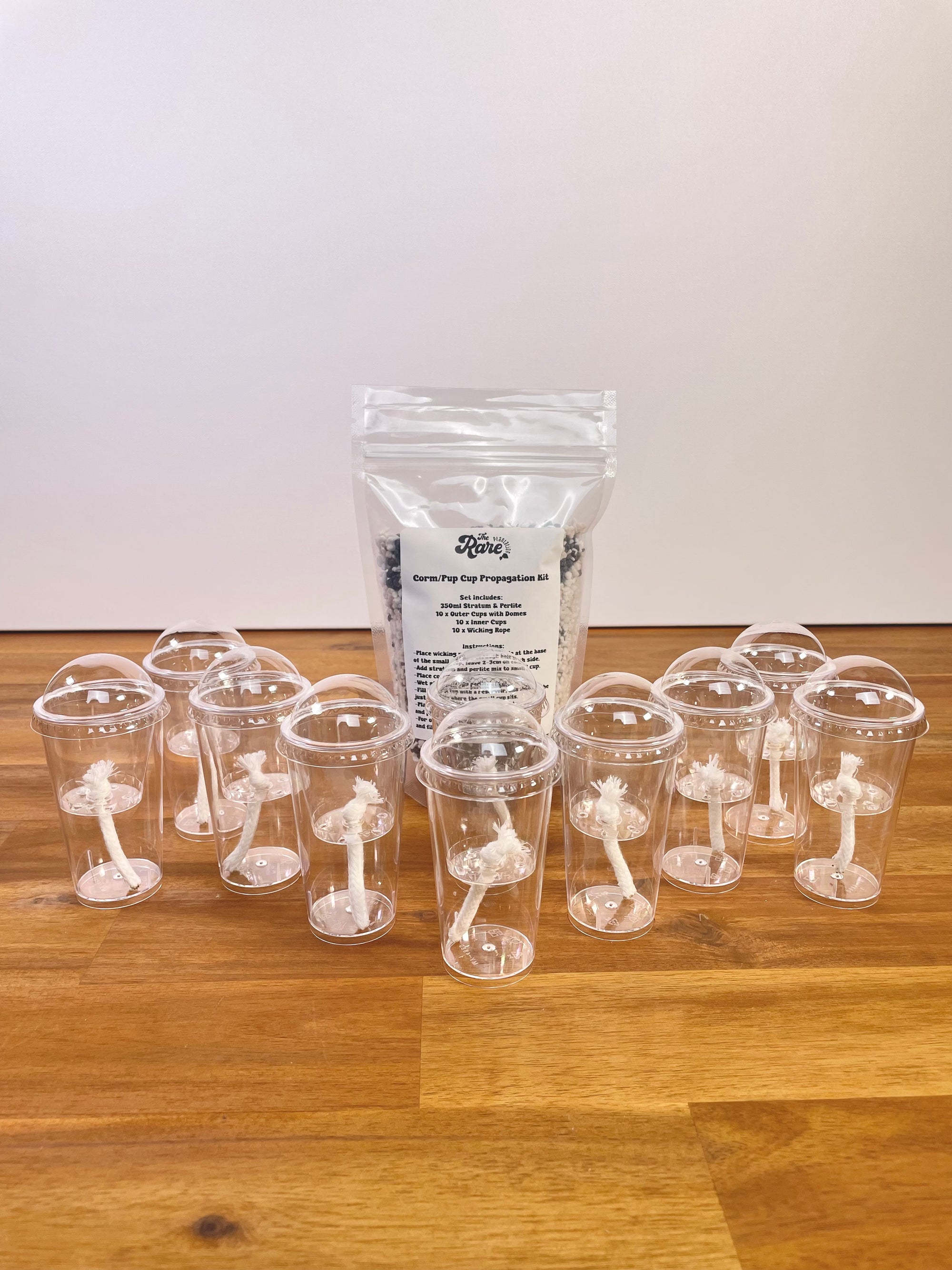 Alocasia Corm/Pup Cup Propagation Kit