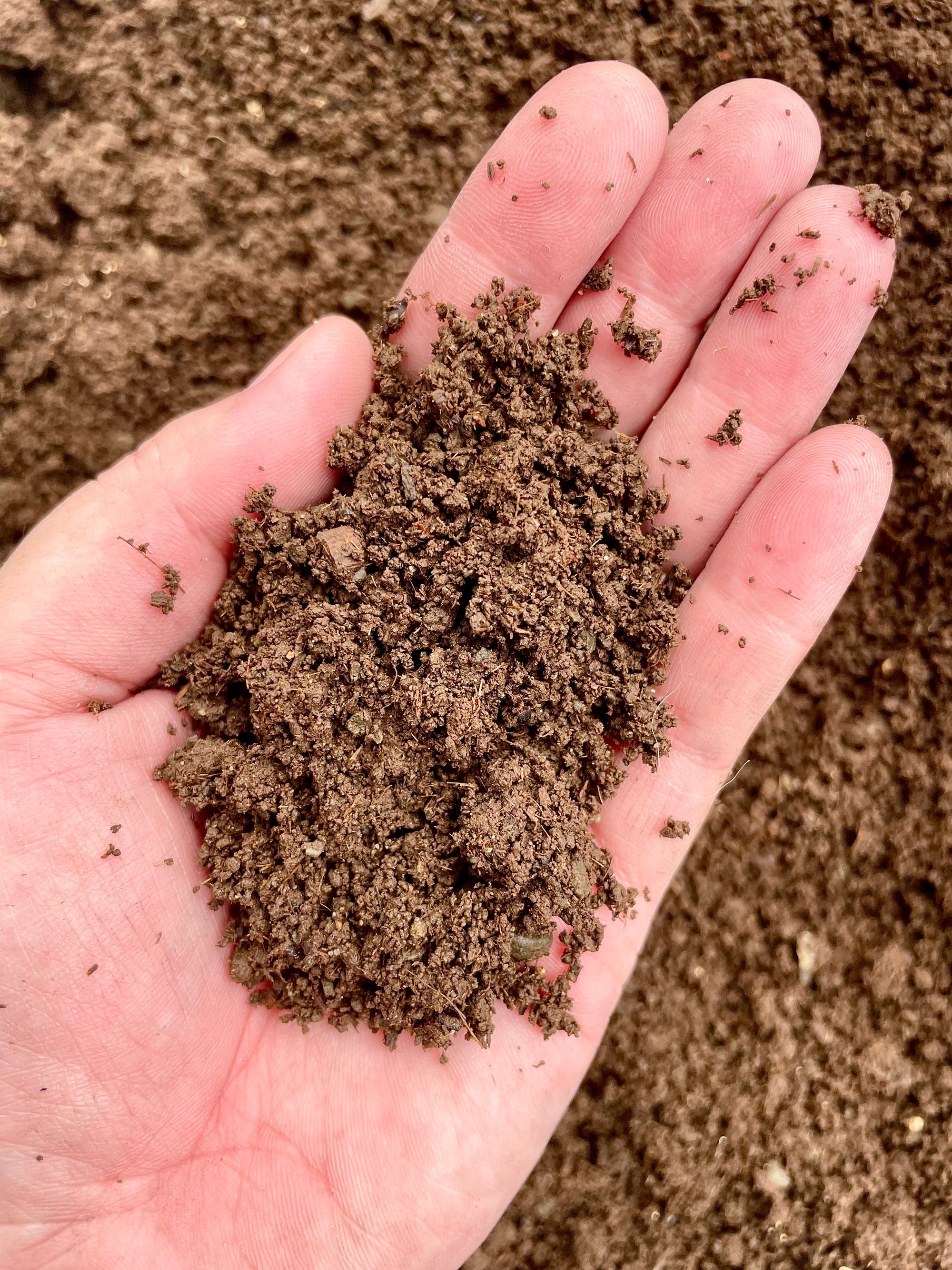 NZ Premium Soilless Chunky Aroid Mix