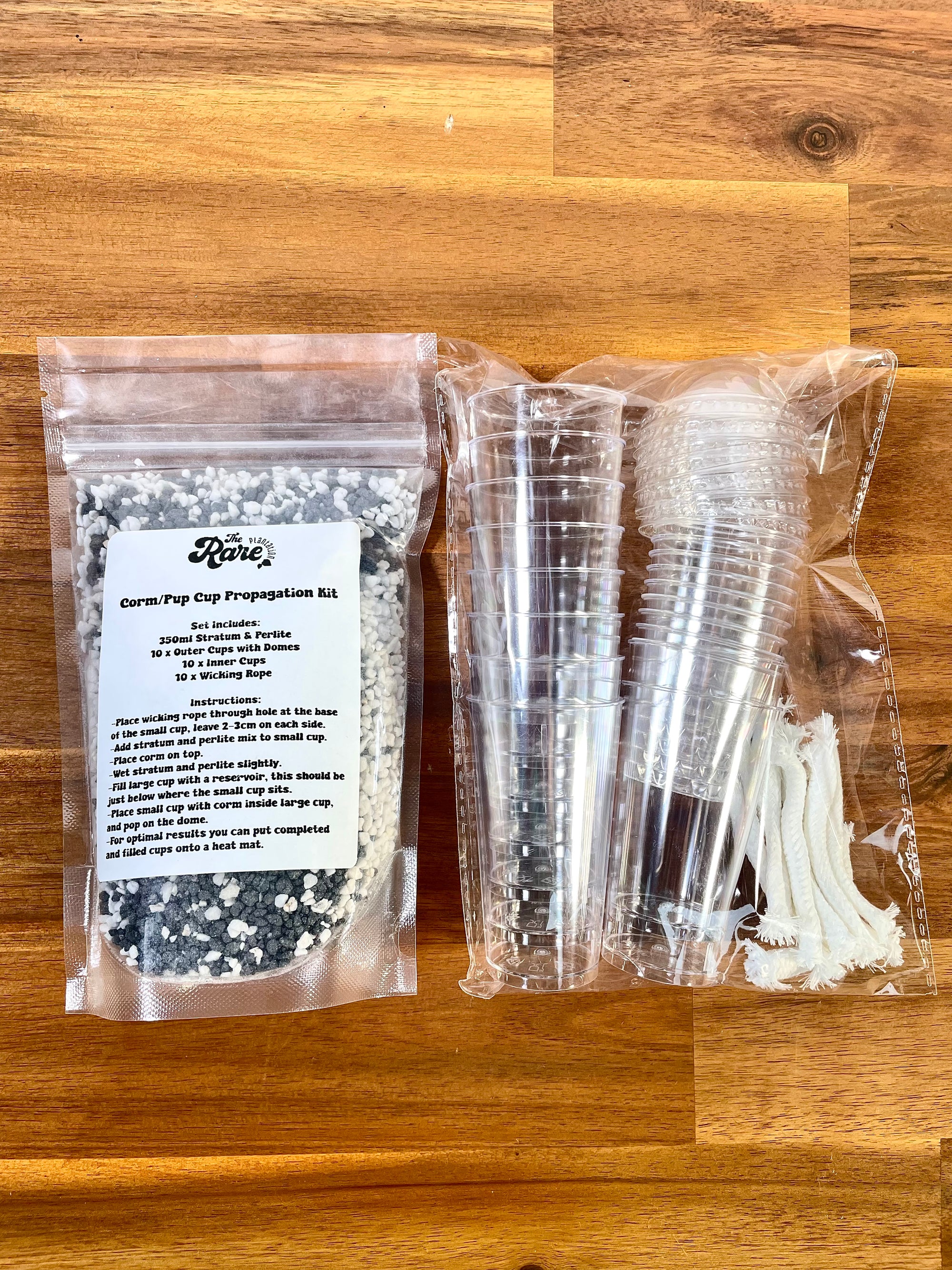 Alocasia Corm/Pup Cup Propagation Kit