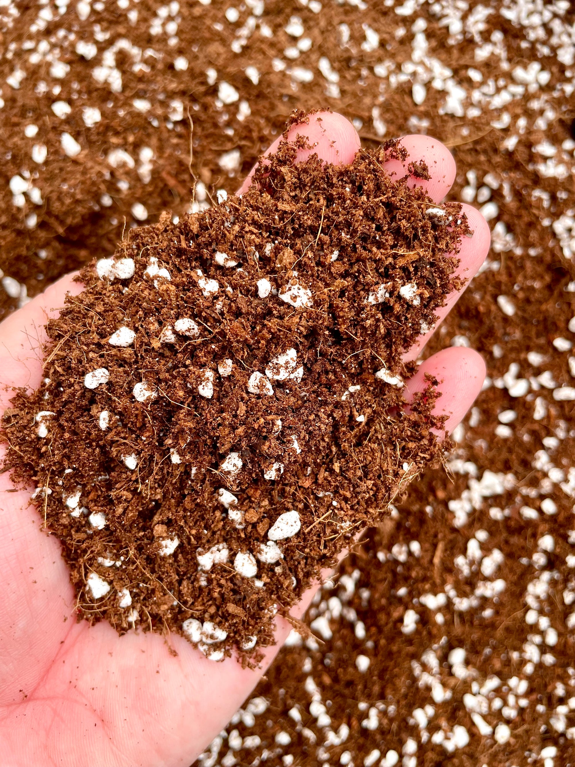 NZ Premium Soilless Chunky Aroid Mix