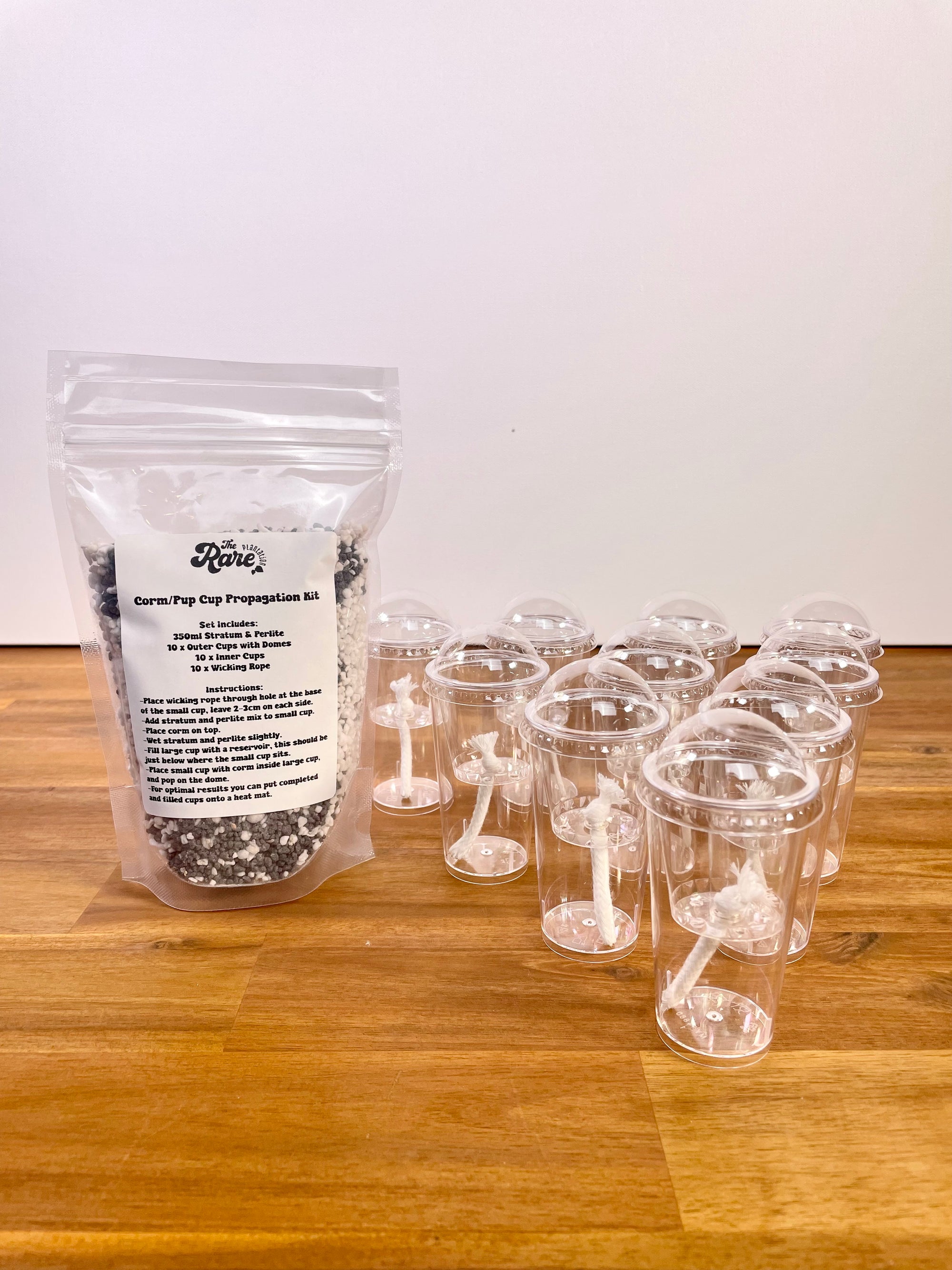 Alocasia Corm/Pup Cup Propagation Kit