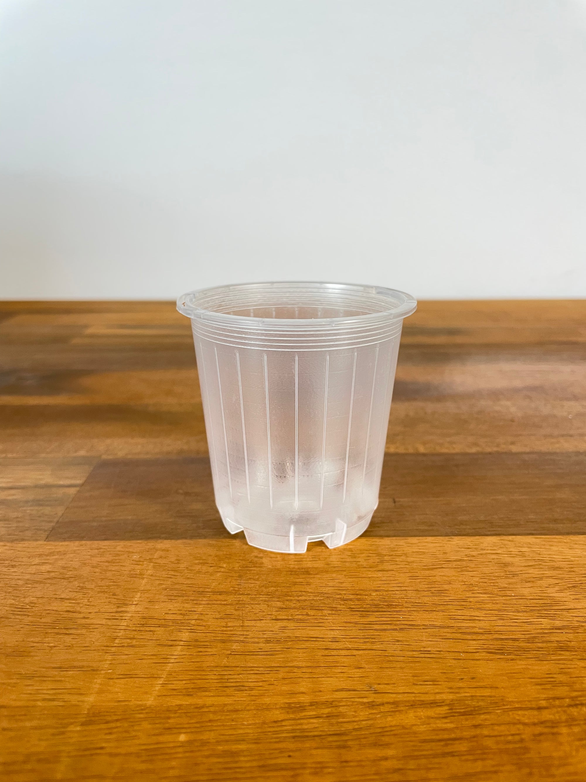 Clear Nursery Pot- 7cm