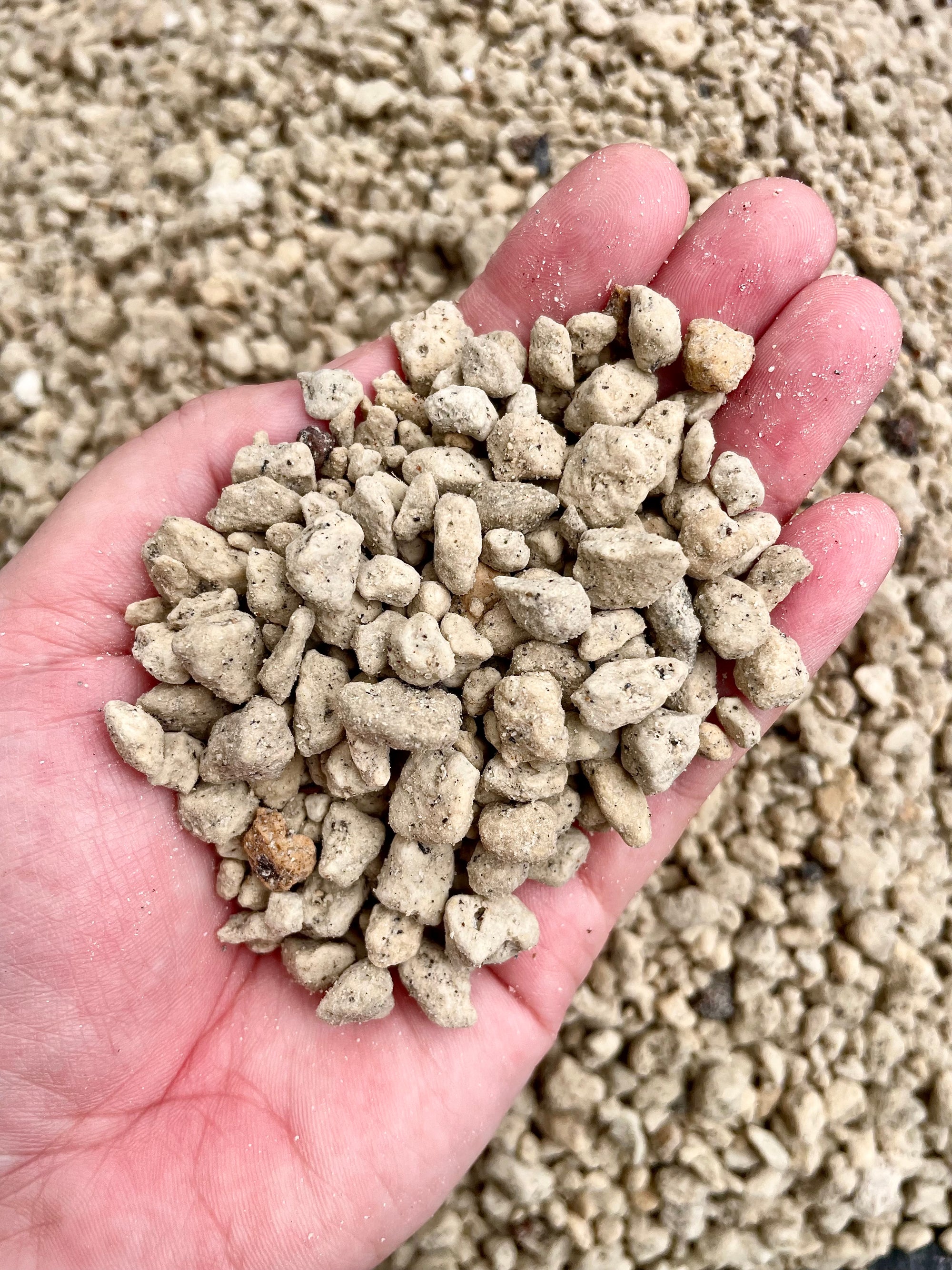 NZ Premium Soilless Chunky Aroid Mix