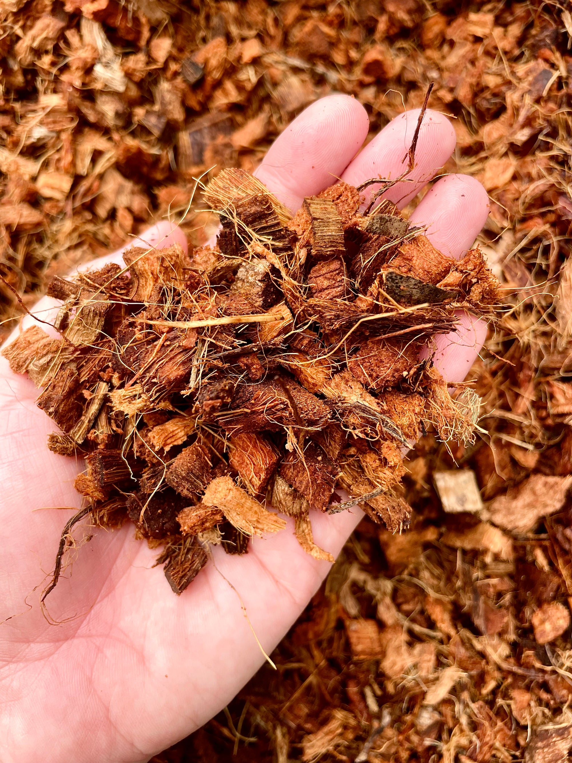 NZ Premium Soilless Chunky Aroid Mix