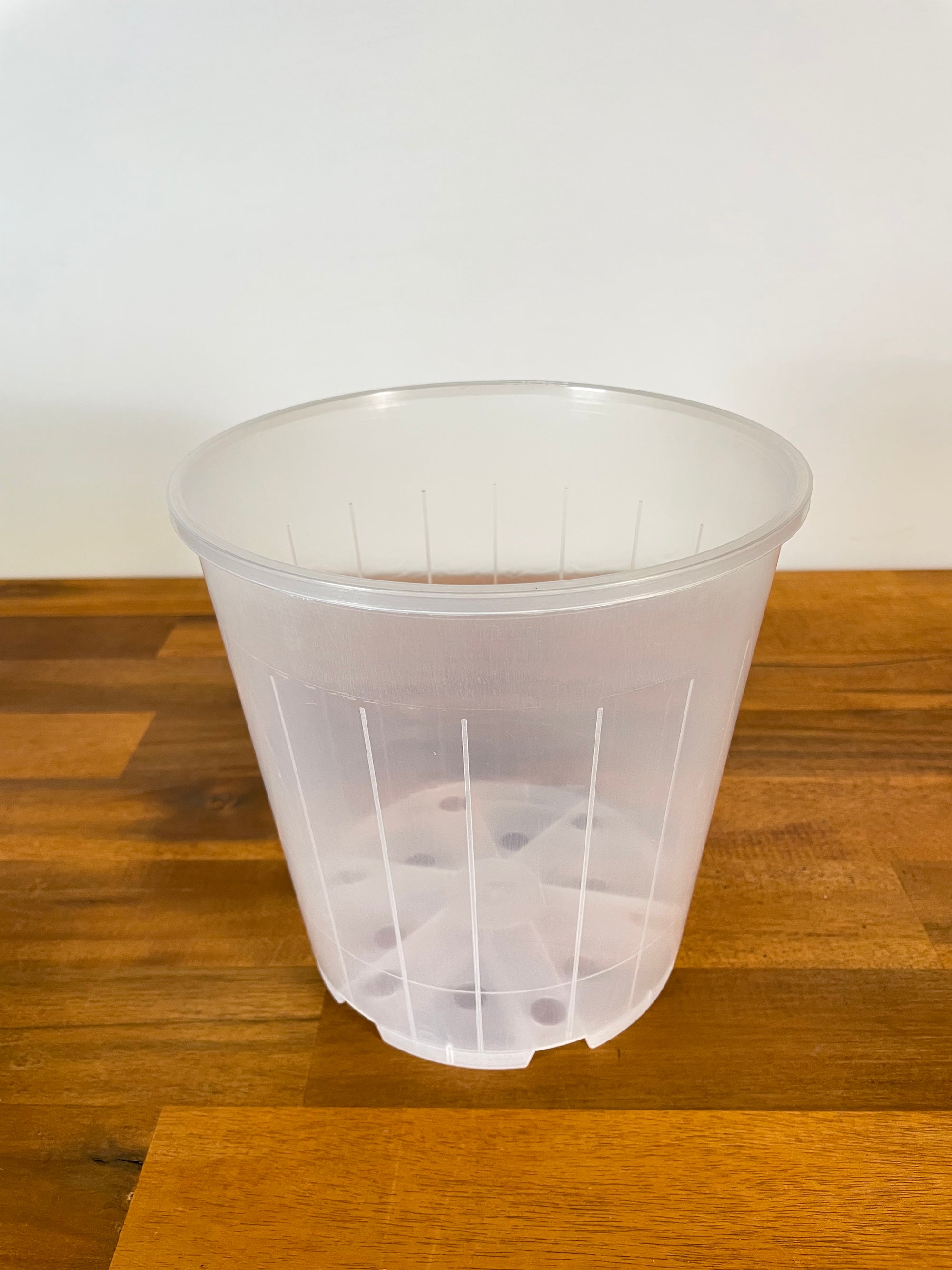 Clear Nursery Pot- 20cm