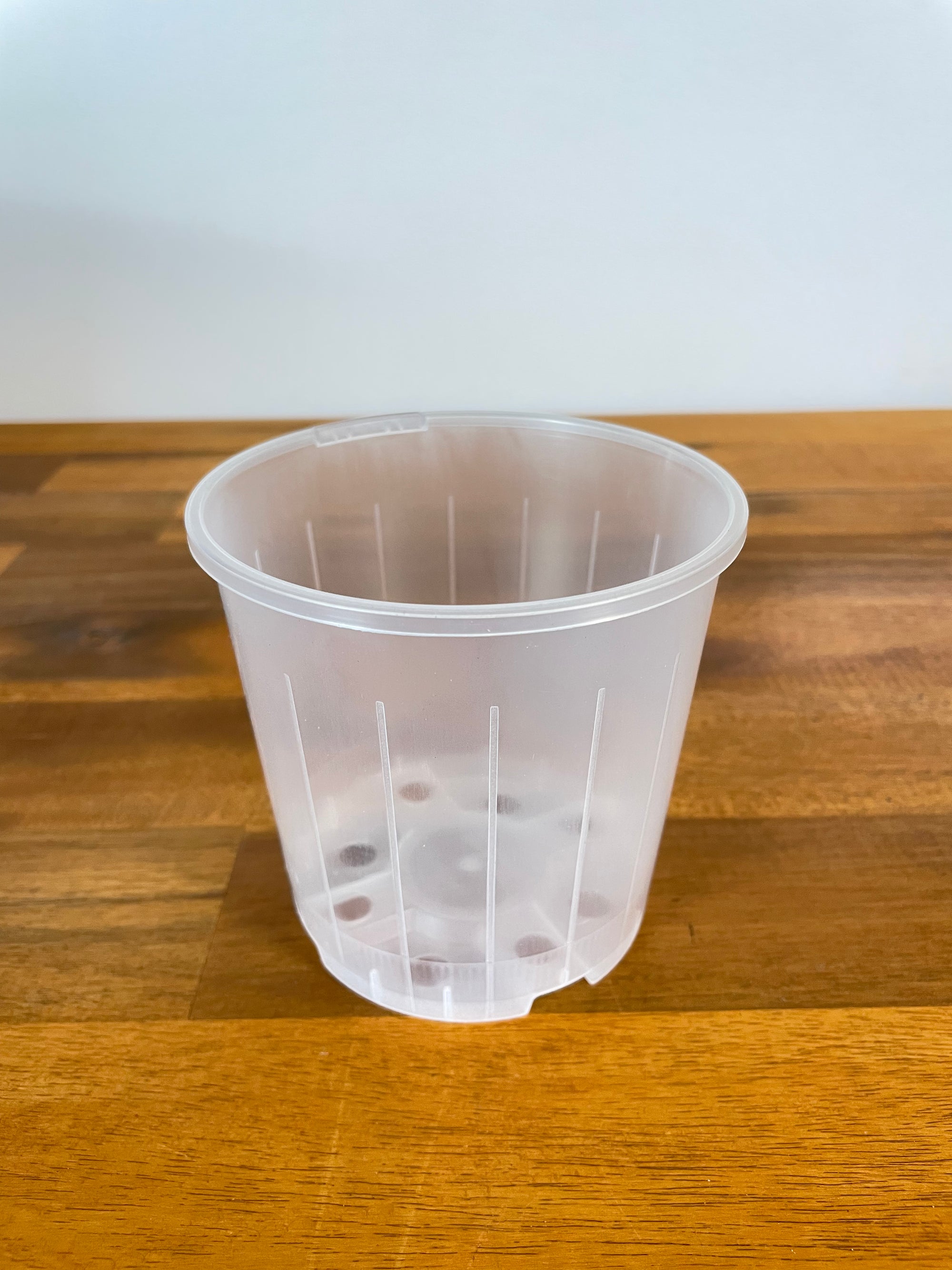 Clear Nursery Pot- 10cm