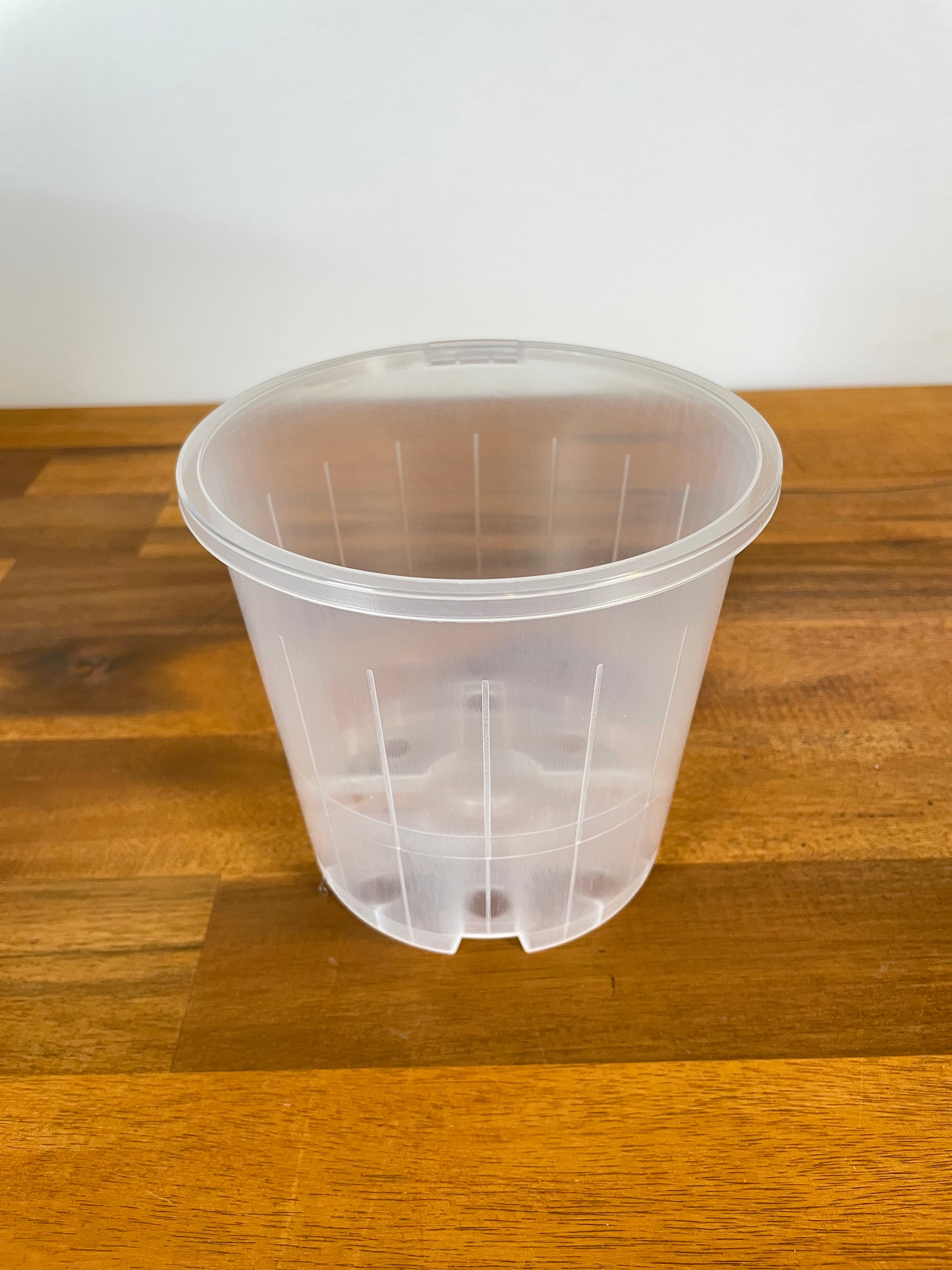 Clear Nursery Pot- 14cm