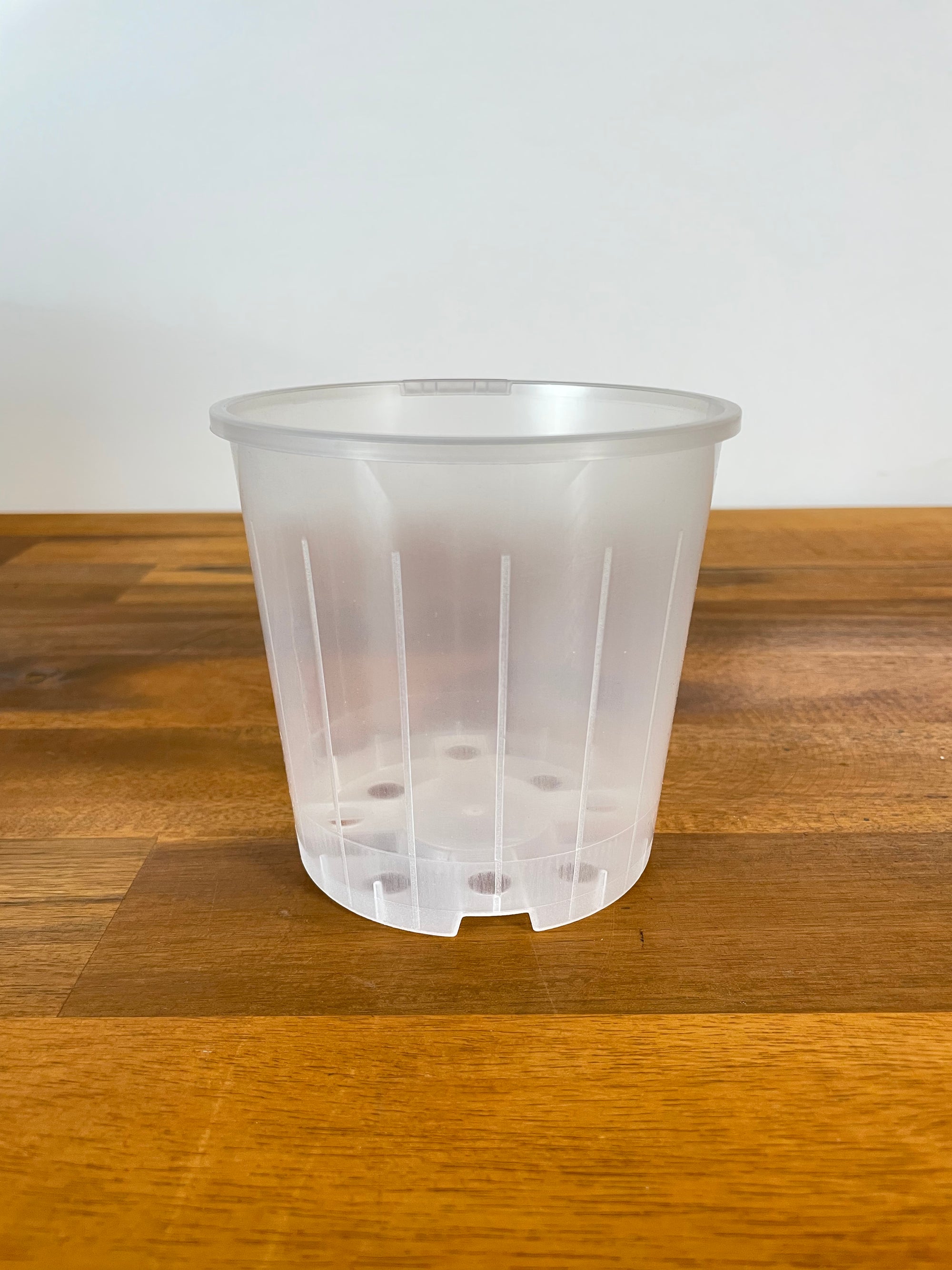 Clear Nursery Pot- 10cm