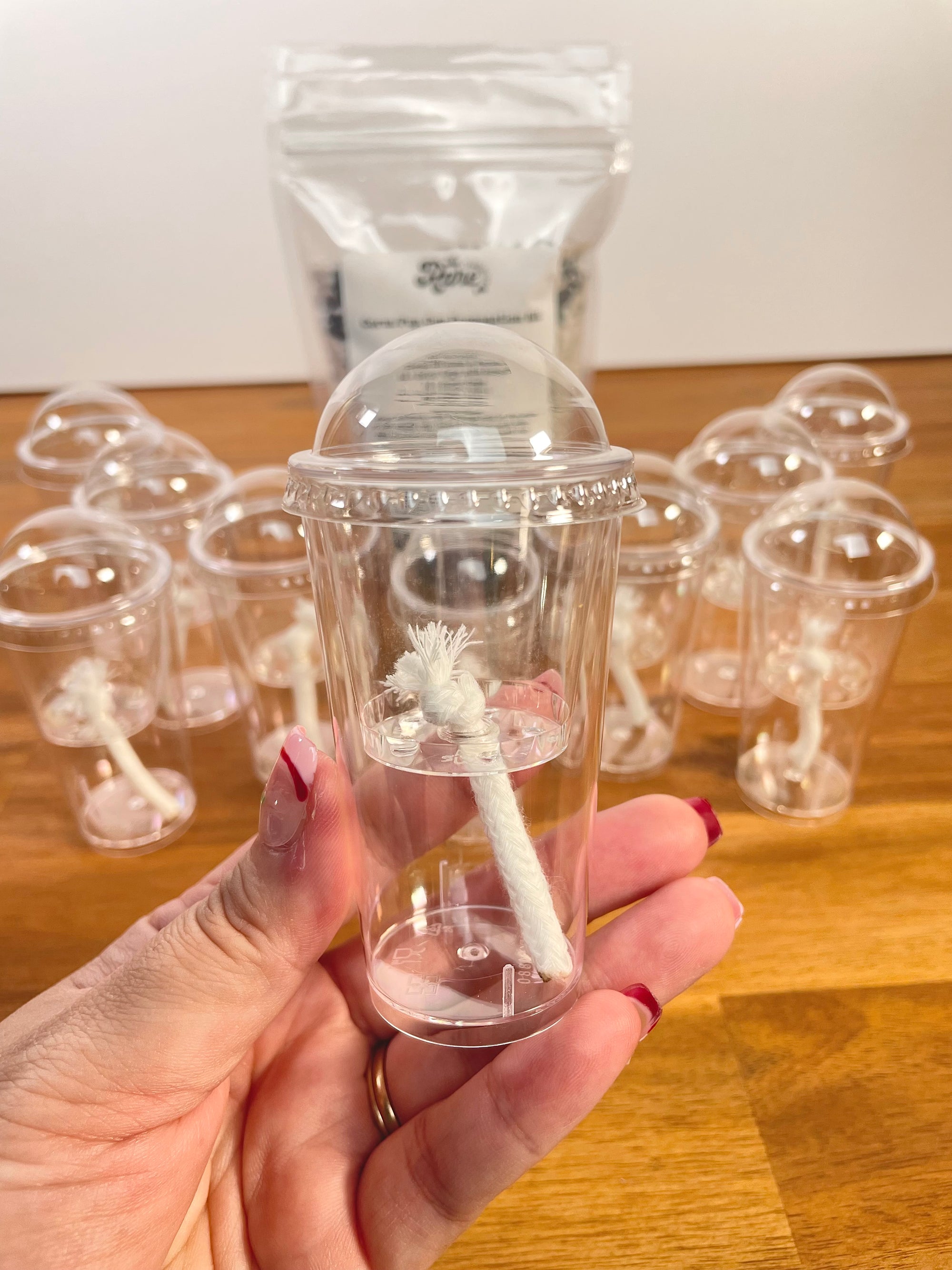 Alocasia Corm/Pup Cup Propagation Kit