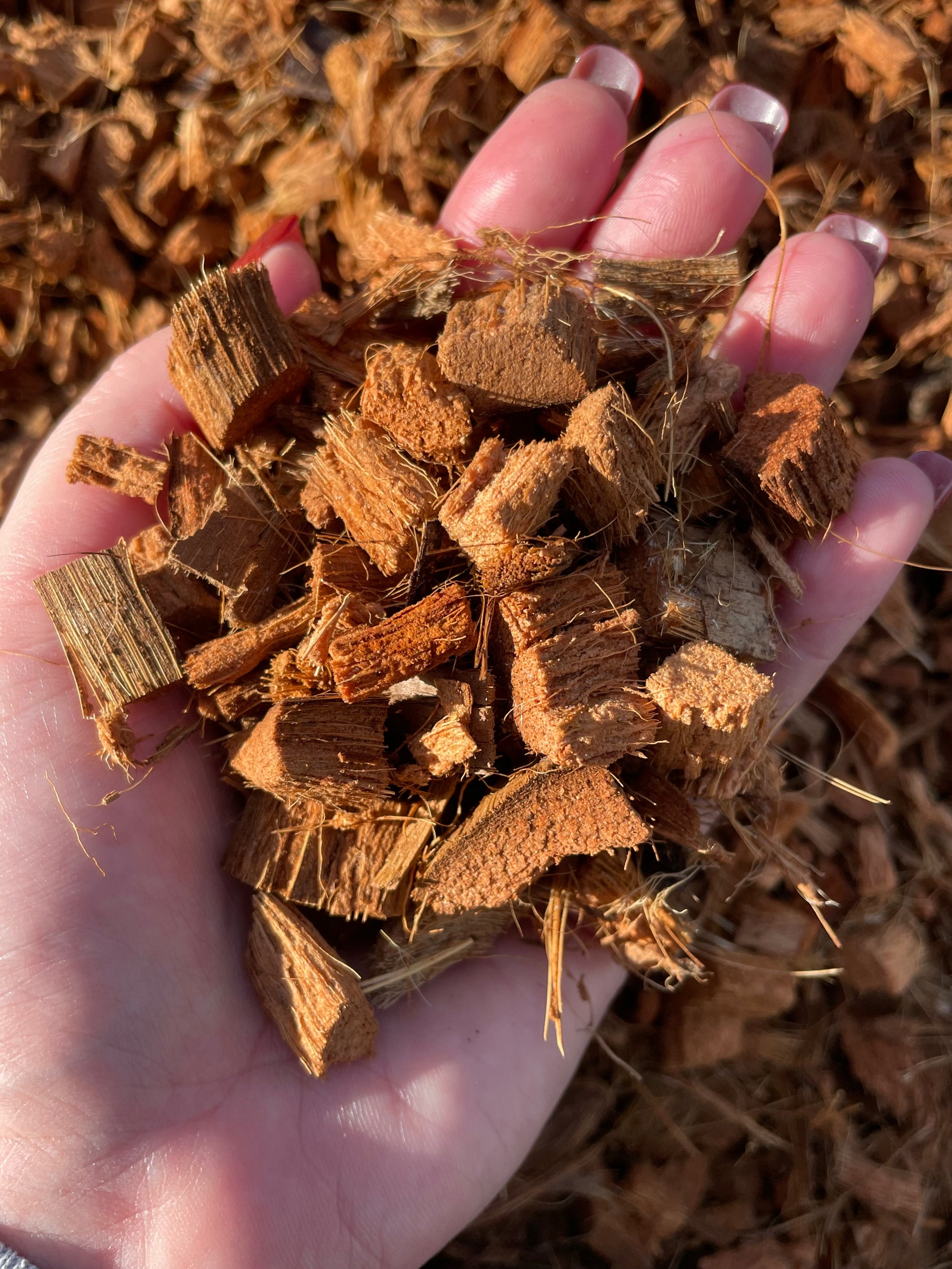 Coco Husk Chips
