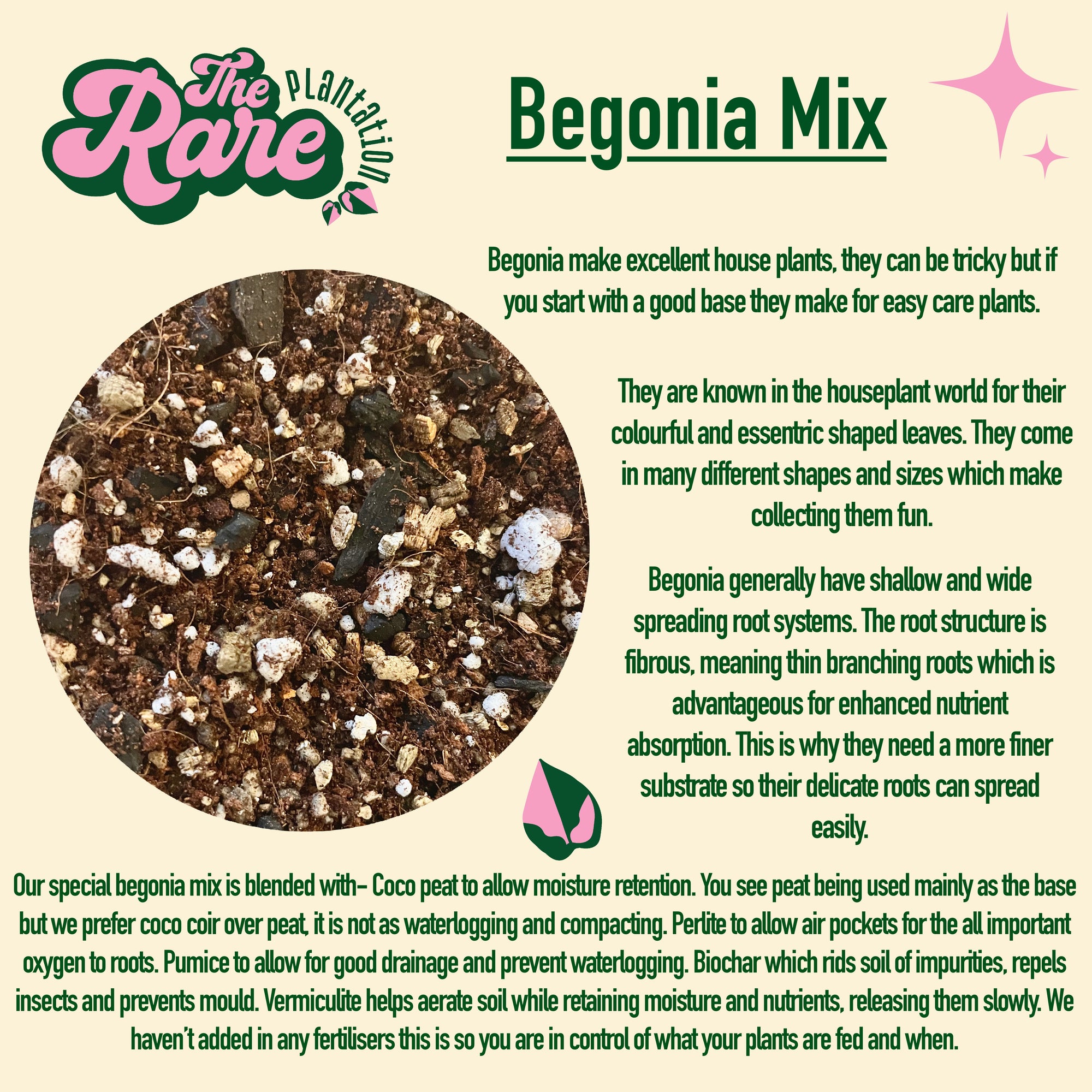 NZ Begonia Mix