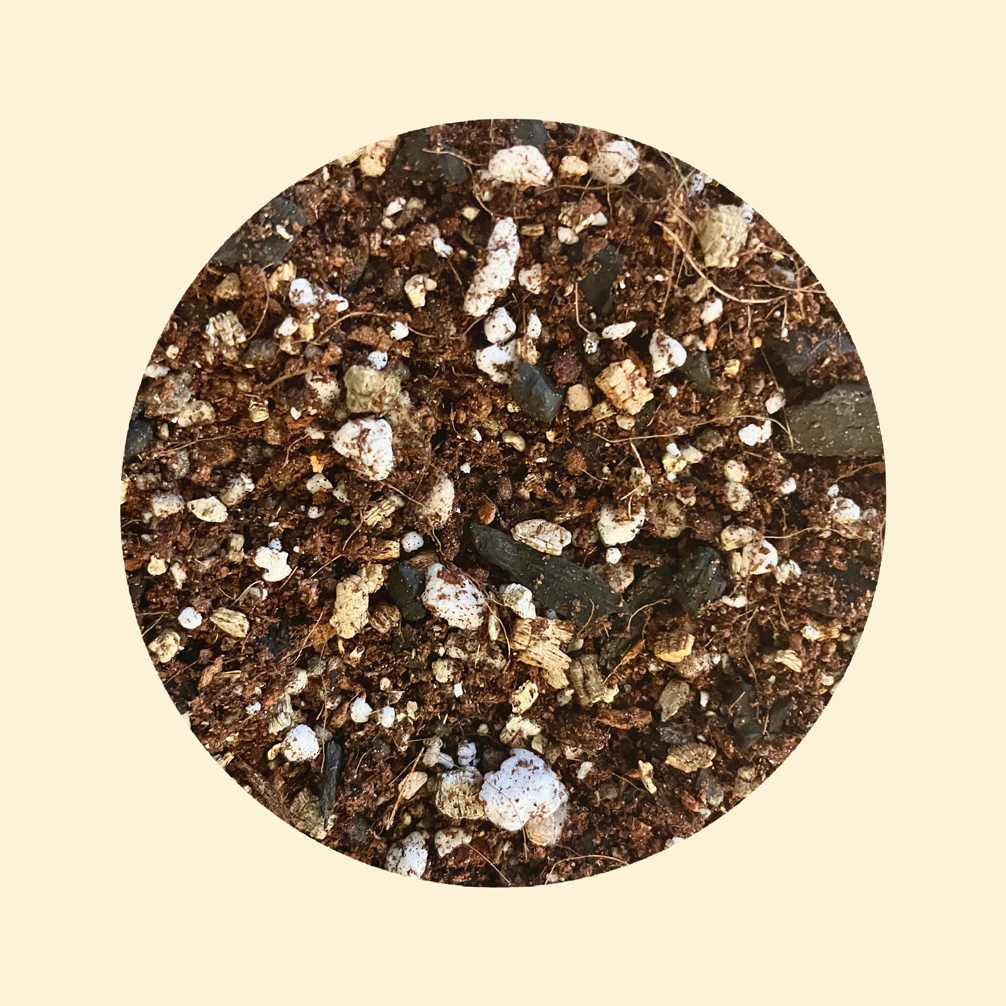 NZ Begonia Mix