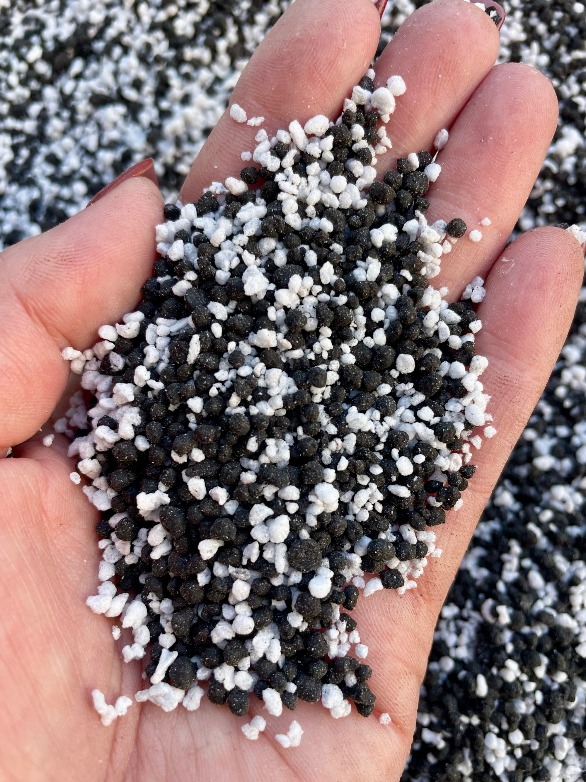 NZ Stratum/Perlite Propagation Mix