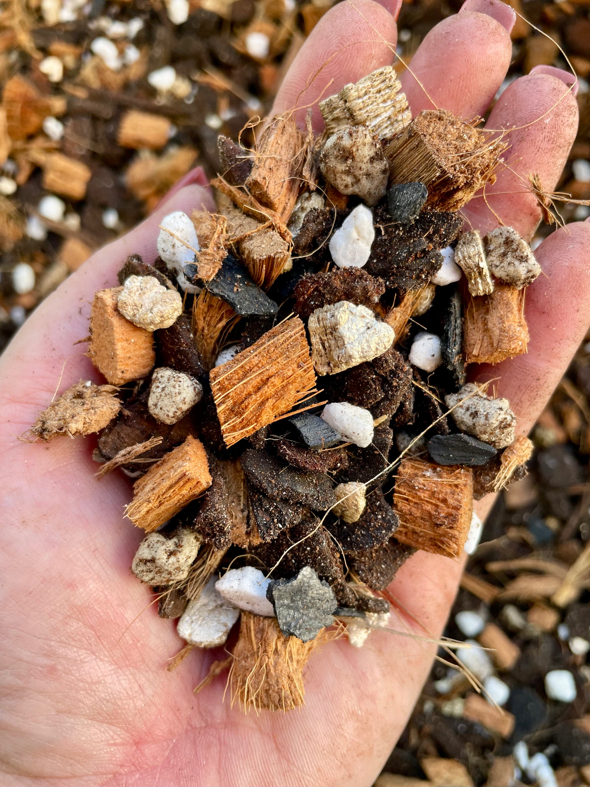 NZ Premium Soilless Chunky Aroid Mix