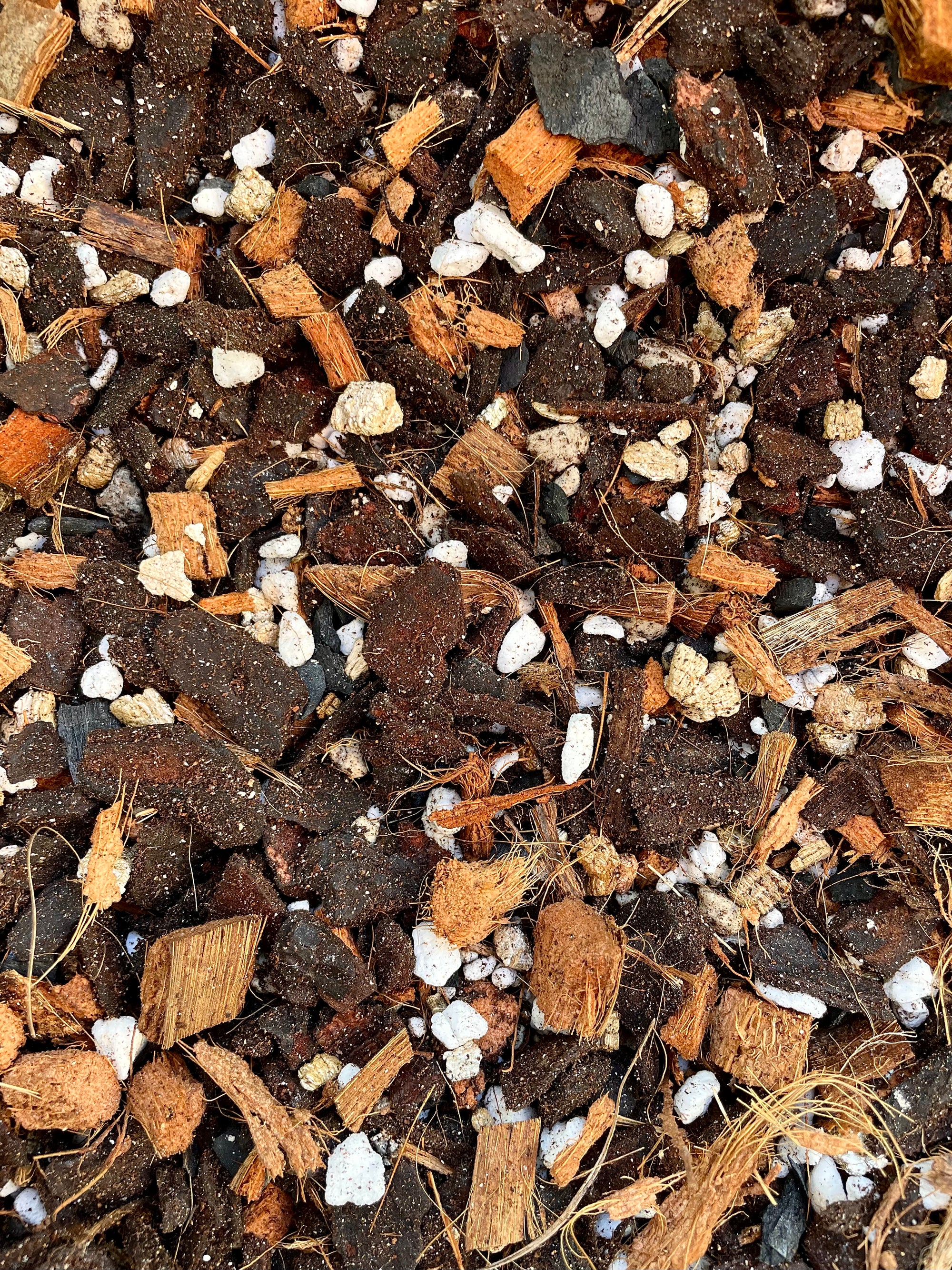NZ Premium Soilless Chunky Aroid Mix