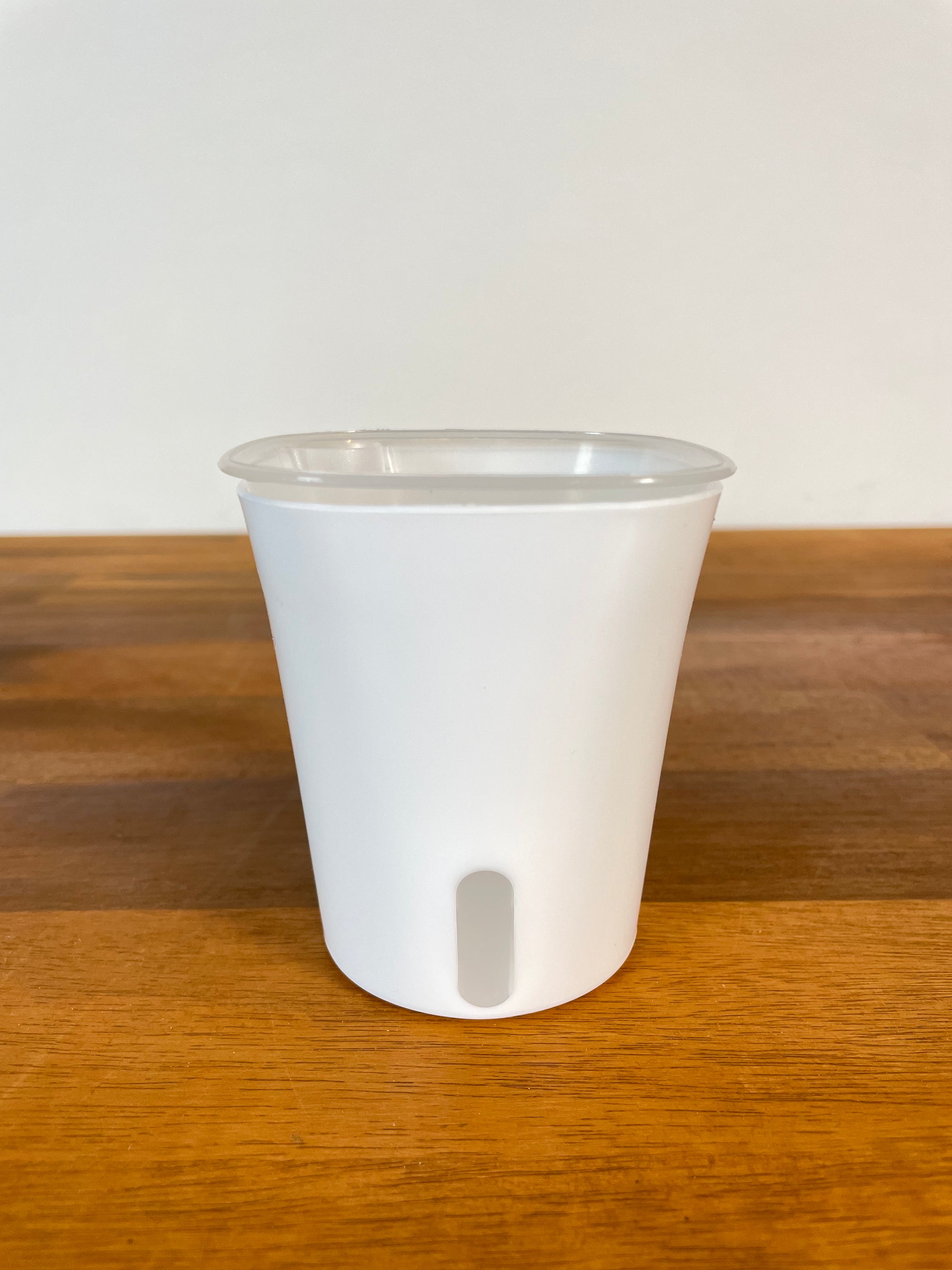 Self Watering Pot- 7.5cm