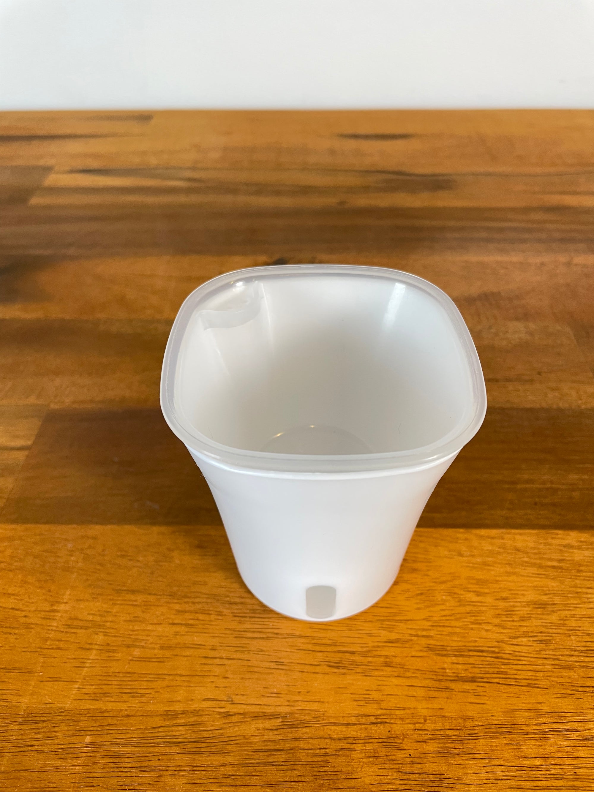 Self Watering Pot- 7.5cm