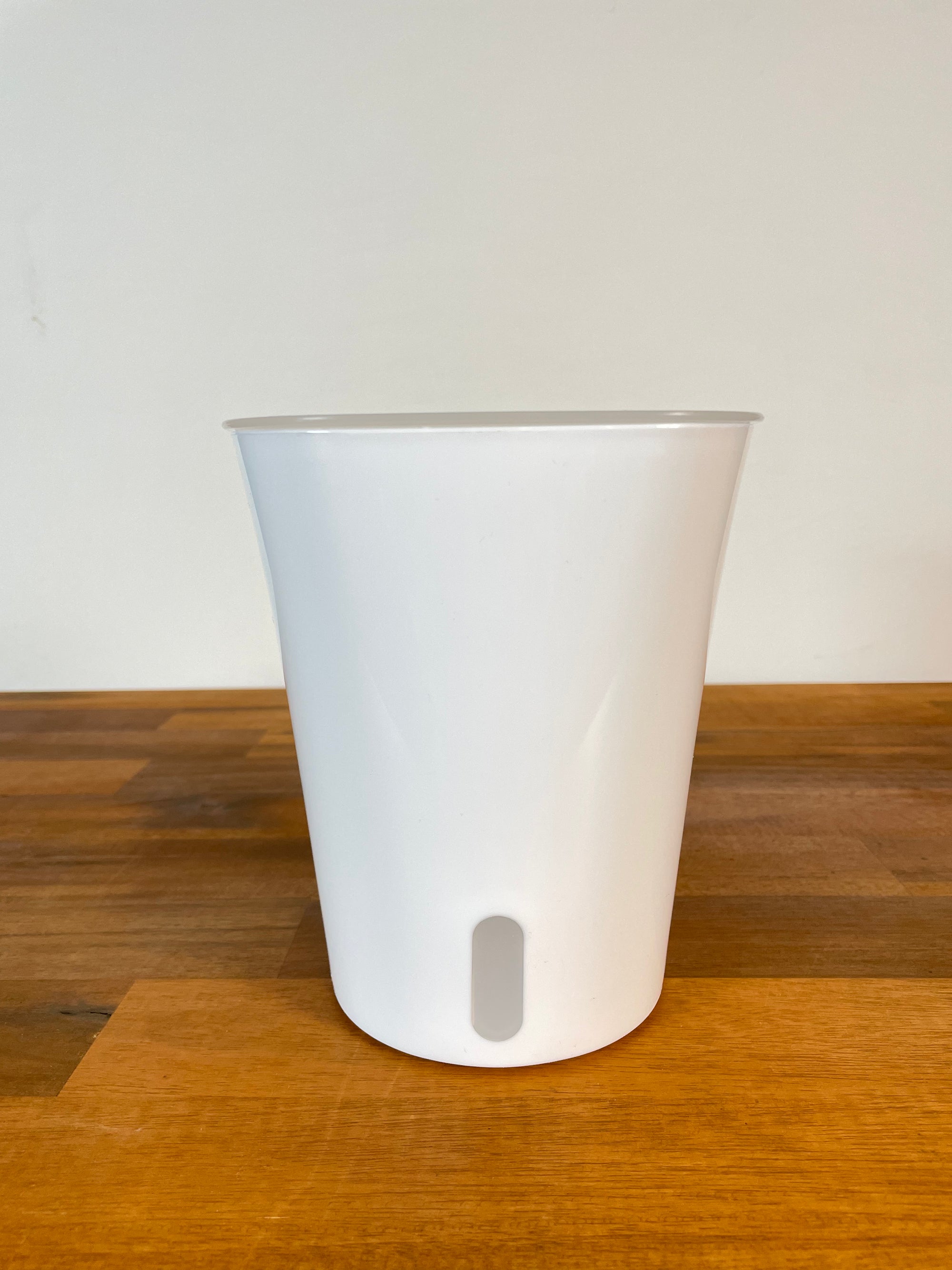 Self Watering Pot- 15cm