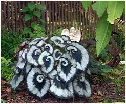 Begonia Escargot